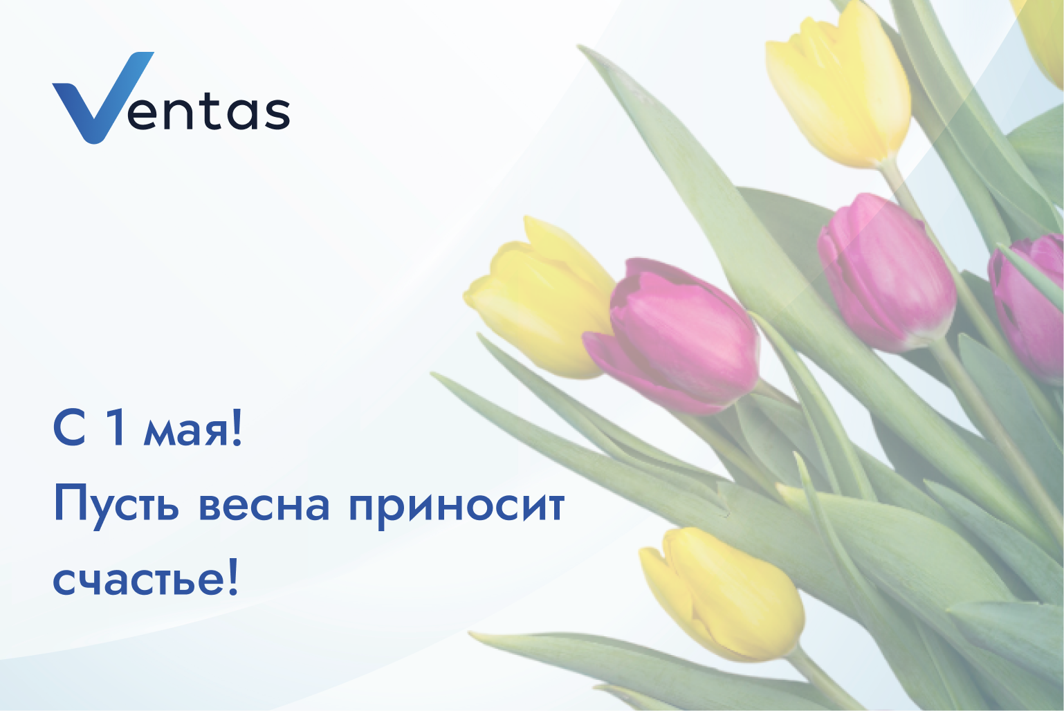 С 1 мая! Пусть весна приносит счастье! фото